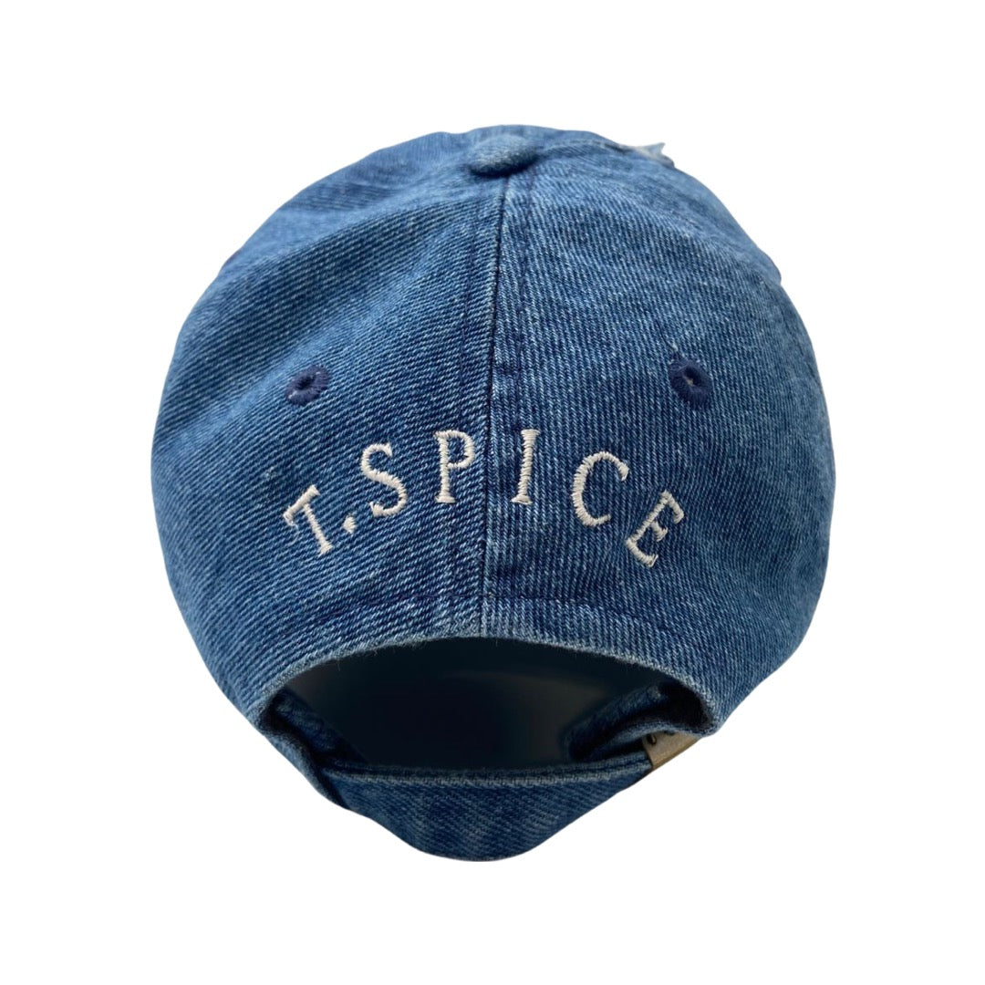 Standard " Tings " Logo Distressed Dad Hat